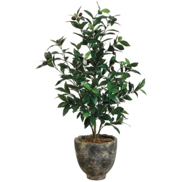 Allstate Floreal Allstate Floral WP7526-GR-TT 3 ft. Olive Tree in Pot Two Tone Green WP7526-GR/TT - main